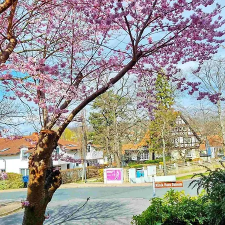 Komfortwohnung 