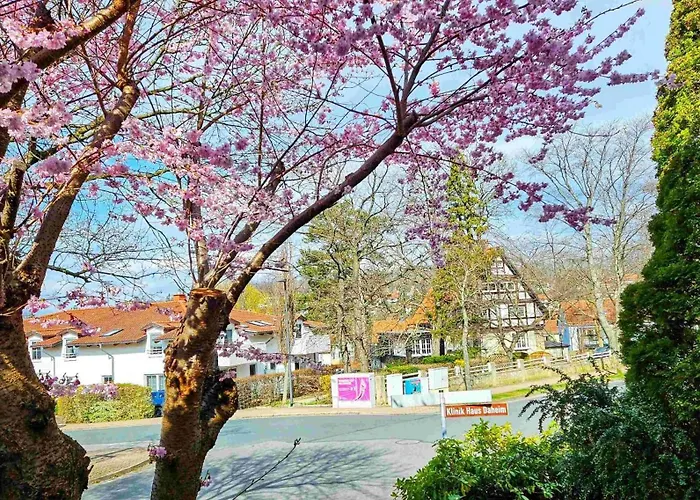 Komfortwohnung 